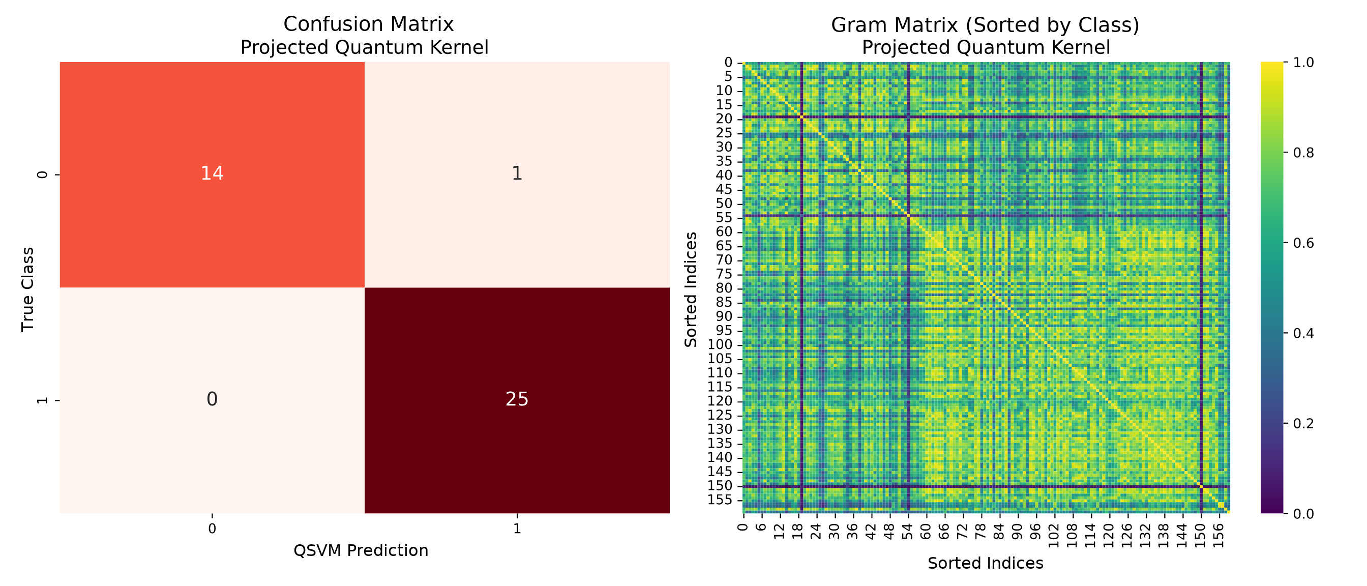 Quantum SVM Feature Map